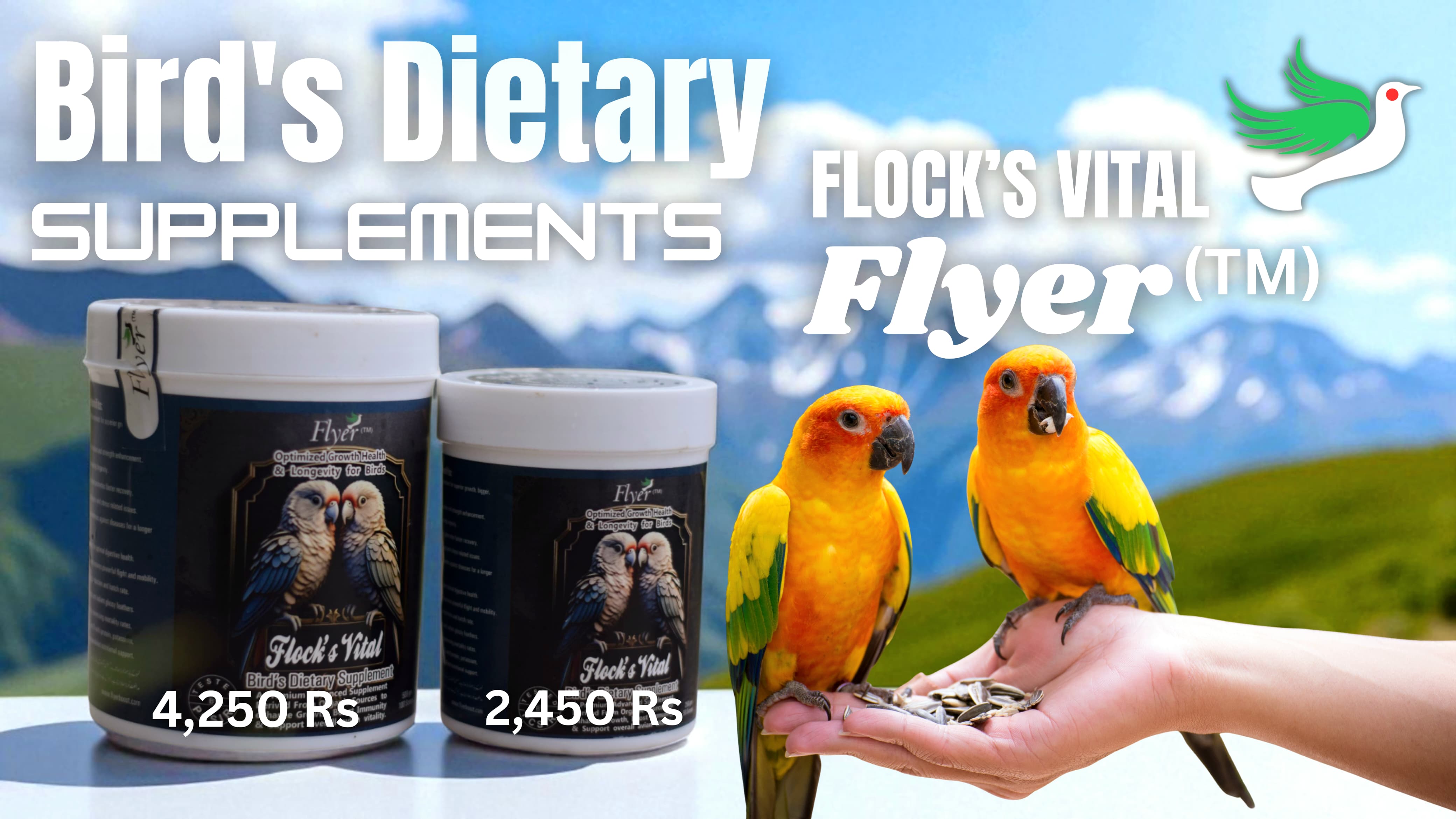 Flock's Vital img